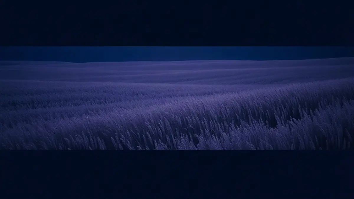 Abstract illustration representing can't sleep without the tv or background noise?